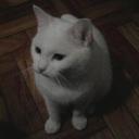 Frank Robb Weaving - @FRWeaving - Twitter