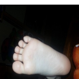 Pulcherrimusvir's profile picture. 