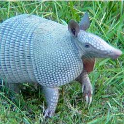 archionblu's profile picture. I spend more time thinking about fandom than about real life.