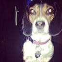 ryan townsend - @ryant1731 - Twitter