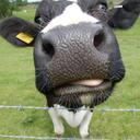 Dennis Holcomb - @dennisholcomb - Twitter