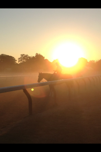 chrisgambacurta's profile picture. 