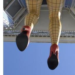 vanagra's profile picture. 