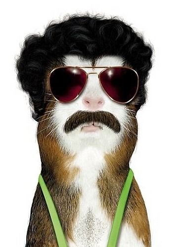 Blazed_Donuts_'s profile picture. 