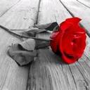 Rose Clair - @RoseClair416 - Twitter