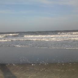 BrasfieldShawn's profile picture. 