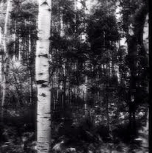 Slenderman.  lurkin on you maybe .