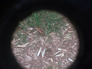 coseincredibili's profile picture. Tutto quello che vi sarebbe piaciuto sentirvi dire ma che non è vero