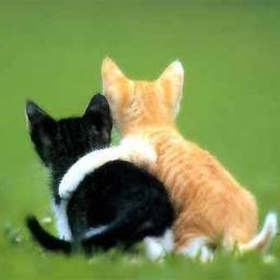 PrincessSerenia's profile picture. Basically dead