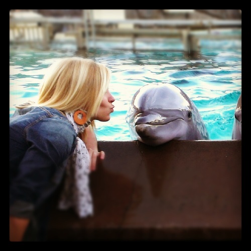 malloryerin's profile picture. Fitness model/trainer, artist, photographer, lover of all things.