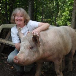 Ecovillager, women's soccer fan, Tar Heel, feminist, supporter of Black Voters Matter