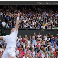 Sarah Howe (@sarahhowe) 's Twitter Profile