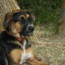 daniel morell muñoz - @dmorellm - Twitter