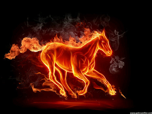 I am the King of my own World..........