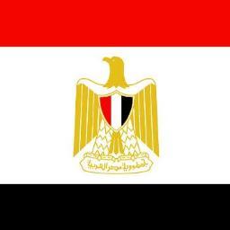 شاب مصري يبحث عن المعلومات الصحيحة فقط