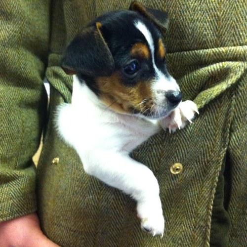 busey290889's profile picture. 