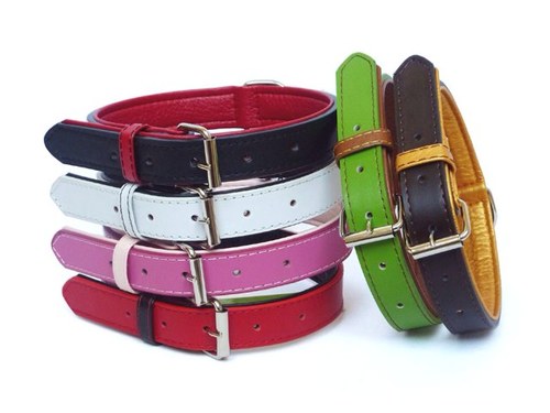 hi we are a great ebay shop offering u low prices on quality dog collars. please check us out today for stunning dog collars straight to your door.