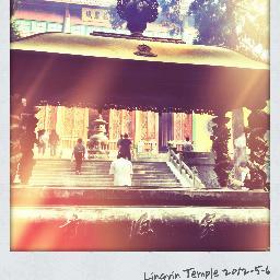 walliamzhang's profile picture. 