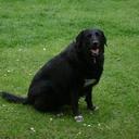 KIMBERLY GILSON - @GILLIE141984 - Twitter