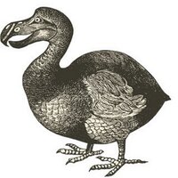 Ealing Dodos (@ealingdodos) 's Twitter Profile