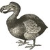 Ealing Dodos (@ealingdodos) Twitter profile photo