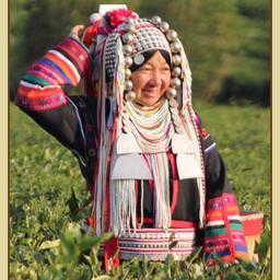 We are helping a tea farm to export their exquisite teas, worldwide. If you, or anyone you know would be interested in a prepared web sales site contact us.