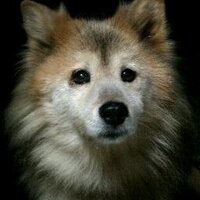 マサお (@masamrk) Twitter profile photo