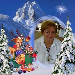 verissimozeze's profile picture. 