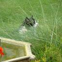 Helen & Jim Rawlings - @heljim137 - Twitter