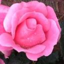 andrea corso - @andreacorso9088 - Twitter