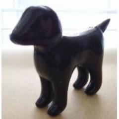 coldharry's profile picture. 明日できることは今日はやらない。