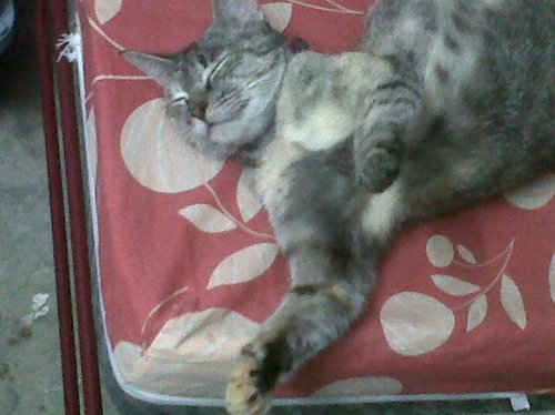 Saya masih baru.suka berkawan.Ơ̴̴͡.̮Ơ̴̴̴͡