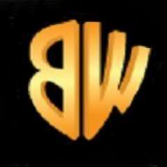 BeeznessWebs's profile picture. Best website developer company in Dhaka, Bangladesh. Website design, domain registration, domain hosting, reseller hosting, SEO, training and  online marketing.