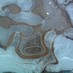 Enquiring Mind (@veracityscape) Twitter profile photo
