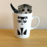 tsuyoshihiguchi's profile picture. ねこ大好物です。ねこ飼いたい。でもねこアレルギーorz古いアニメ、漫画も好物です。
初心者ですが宜しくお願いしますm(__)m