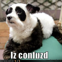 elaine dutton - @duttiep - Twitter