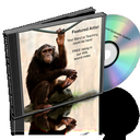 Claire Raines - @1clickaudio - Twitter