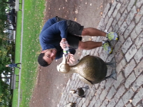 dieterbouwert's profile picture. 