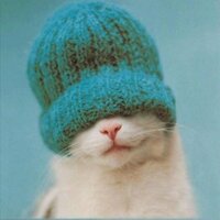 Andrea Chettle (@pagecrawler) 's Twitter Profile