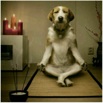 My pin31325860