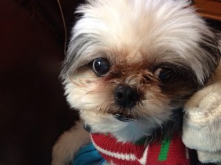 HomesbyDarla's profile picture. Realtor, Wife, Mom, Cheerful, Positive, Goal-oriented, Professional and Caring. 
Jesus Rocks!! I love people!