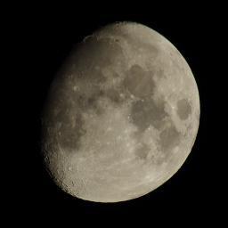 kmegumilk's profile picture. みなさんのアカウントでつぶやけないようなことをダイレクトメッセージでいただければ代わりにつぶやきます！