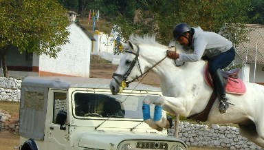 Horseman, in Vety feild, love music, frnz.......INDIA