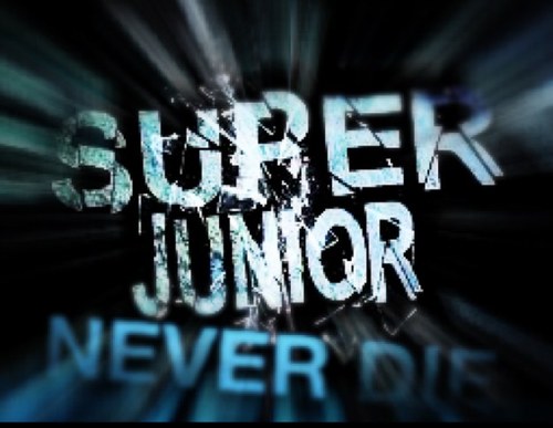 ONLY SUPER JUNIOR AND SUPER JUNIOR -M Petals, Gengfan, HanChul Shipper :) If u bash HenMi , dont follow me :)' Thanks all