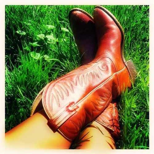 Dixie_Darlingg's profile picture. #SmallTown #Virginia #Rednecks #BigTrucks #Gentlemen #SouthernCharm #Fishing #FourWheelin #FollowMe ;; i follow back (;