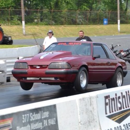 squirral76's profile picture. 