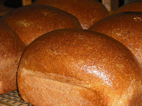 RealBreads's profile picture. 