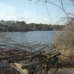 SCNEditor's profile picture. Serving Patchogue, East Patchogue, North Bellport, Bellport Village, Brookhaven Hamlet and Yaphank