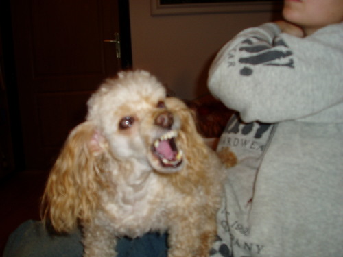 MarkSharpa's profile picture. 