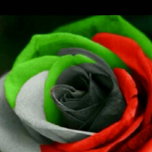 Dr_Mubarak1968's profile picture. MBBS, German board(Facharzt), European fellowship. Consultant Medical Microbiologist and infectious diseases epidemiolgist.